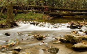 Preview wallpaper wood, river, branches, trees, stones, moss