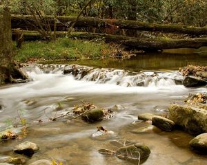 Preview wallpaper wood, river, branches, trees, stones, moss