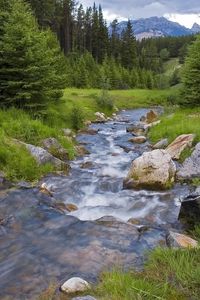 Preview wallpaper wood, river, stream, mountains, greens