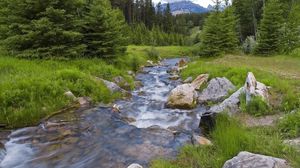 Preview wallpaper wood, river, stream, mountains, greens