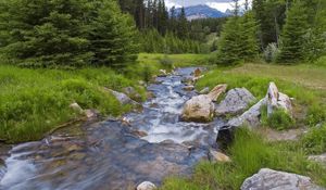 Preview wallpaper wood, river, stream, mountains, greens