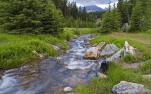 Preview wallpaper wood, river, stream, mountains, greens