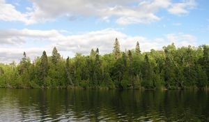 Preview wallpaper wood, river, water, coast, greens, summer, sky