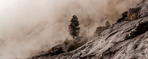 Preview wallpaper wood, rocks, fog, stones, stony