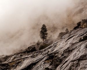 Preview wallpaper wood, rocks, fog, stones, stony