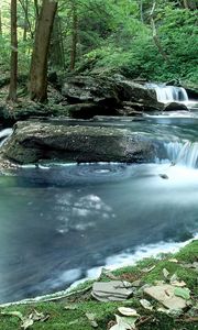 Preview wallpaper wood, stream, water, moss