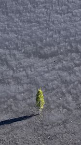 Preview wallpaper wood, surface, shadow, minimalism