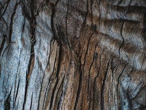 Preview wallpaper wood, texture, cranny, surface