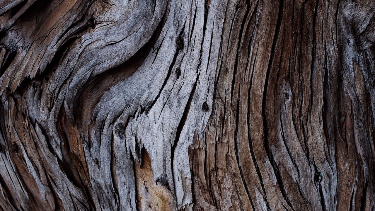 Wallpaper wood, texture, cranny, bark