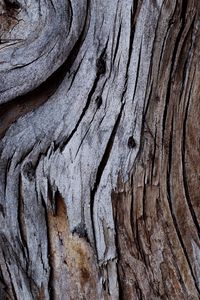 Preview wallpaper wood, texture, cranny, bark