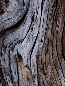 Preview wallpaper wood, texture, cranny, bark