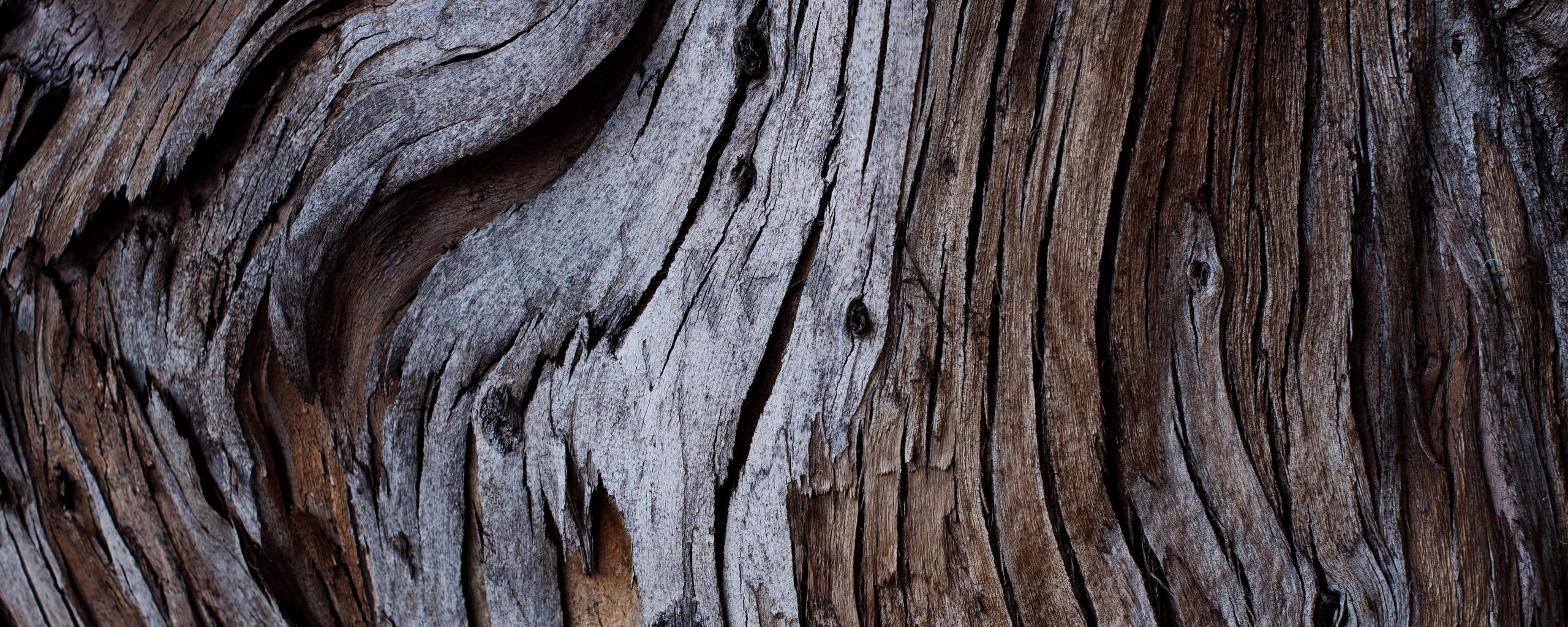 2560x1024 Wallpaper wood, texture, cranny, bark