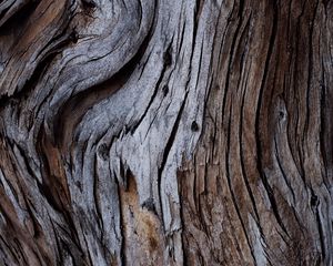 Preview wallpaper wood, texture, cranny, bark