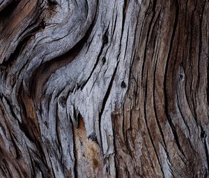 Preview wallpaper wood, texture, cranny, bark