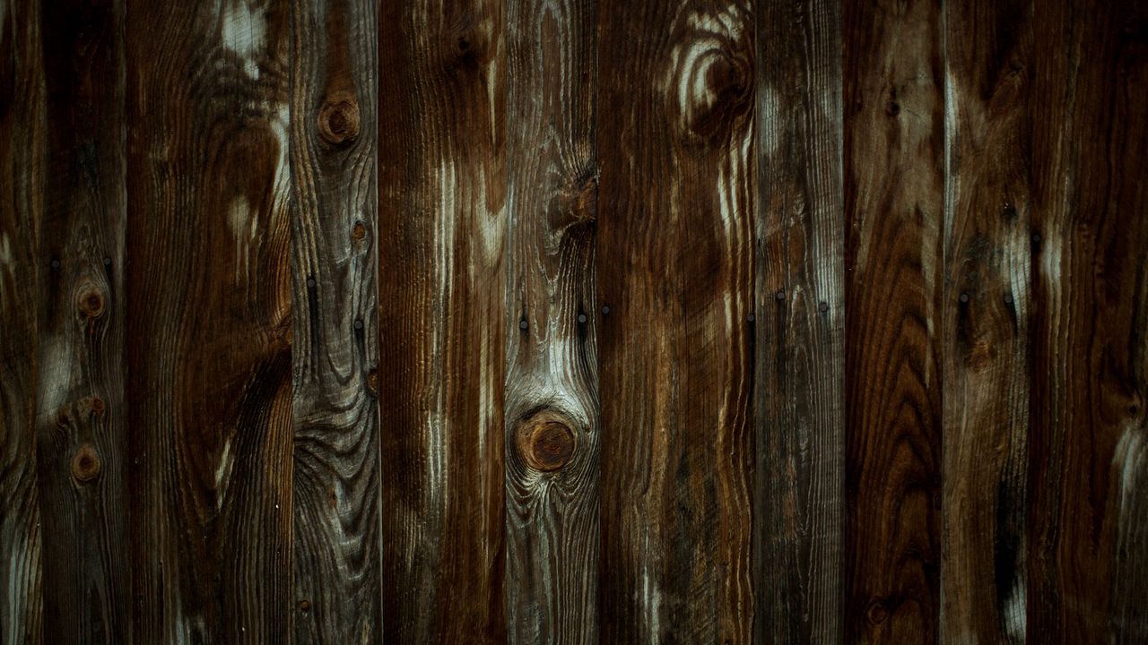 Wallpaper wood, timber, wall, texture