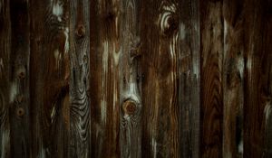 Preview wallpaper wood, timber, wall, texture