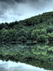 Preview wallpaper wood, trees, coast, clouds, summer, reflexion, mirror