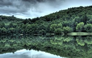 Preview wallpaper wood, trees, coast, clouds, summer, reflexion, mirror