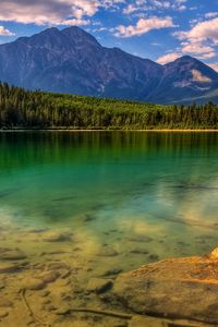 Preview wallpaper wood, trees, coast, lake, bottom, water, transparent, stones, mountains