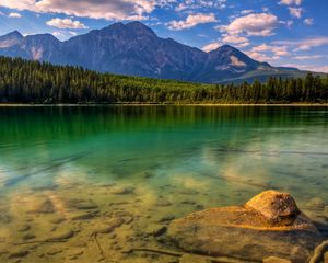 Preview wallpaper wood, trees, coast, lake, bottom, water, transparent, stones, mountains