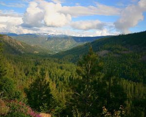 Preview wallpaper wood, trees, height, natural resources