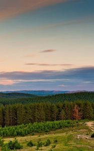 Preview wallpaper wood, trees, suburb, edge, mountains, sky, ease