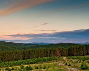 Preview wallpaper wood, trees, suburb, edge, mountains, sky, ease