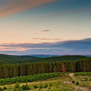 Preview wallpaper wood, trees, suburb, edge, mountains, sky, ease