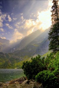 Preview wallpaper wood, water, mountains