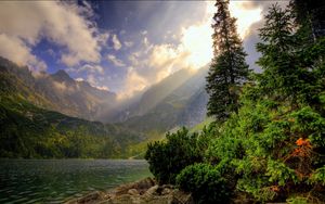 Preview wallpaper wood, water, mountains