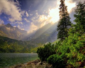 Preview wallpaper wood, water, mountains