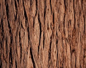 Preview wallpaper wood, wooden, bark, texture