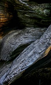 Preview wallpaper wood, wooden, texture, bark