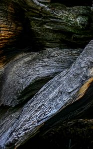 Preview wallpaper wood, wooden, texture, bark