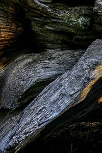 Preview wallpaper wood, wooden, texture, bark