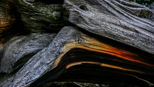 Preview wallpaper wood, wooden, texture, bark