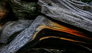 Preview wallpaper wood, wooden, texture, bark