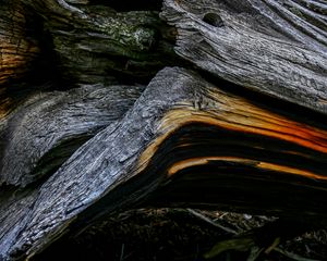 Preview wallpaper wood, wooden, texture, bark