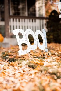 Preview wallpaper word, decoration, halloween, leaves, autumn