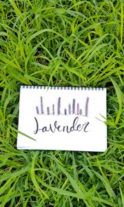 Preview wallpaper word, inscription, notebook, grass