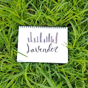 Preview wallpaper word, inscription, notebook, grass