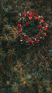 Preview wallpaper wreath, berries, grass, blur