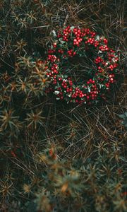 Preview wallpaper wreath, berries, grass, blur