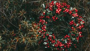 Preview wallpaper wreath, berries, grass, blur