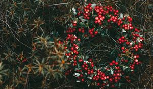 Preview wallpaper wreath, berries, grass, blur