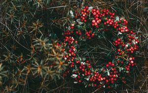 Preview wallpaper wreath, berries, grass, blur