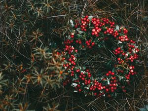 Preview wallpaper wreath, berries, grass, blur