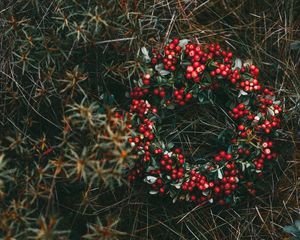 Preview wallpaper wreath, berries, grass, blur