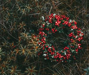 Preview wallpaper wreath, berries, grass, blur