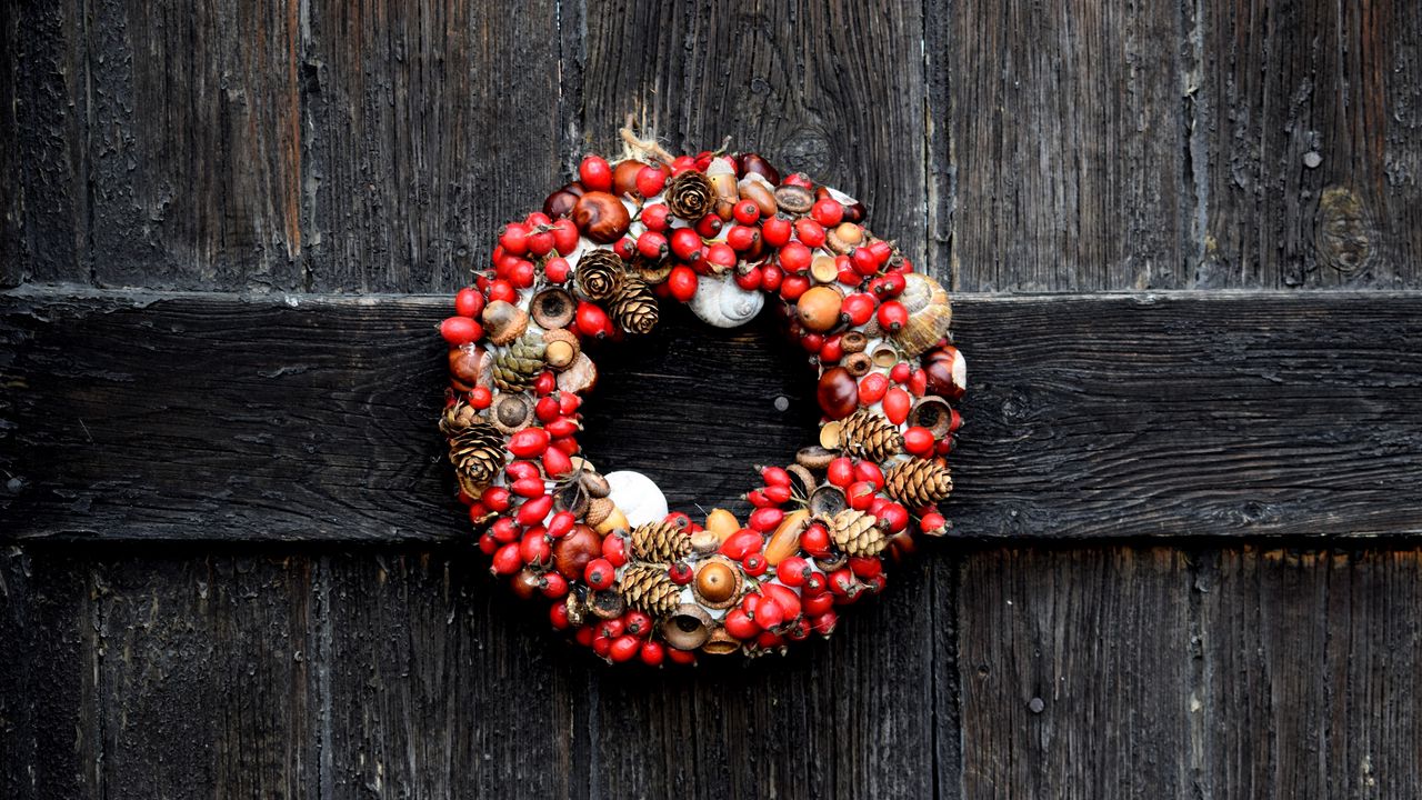 Wallpaper wreath, christmas, dogrose, acorns, cones